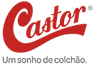 Castor