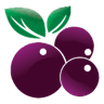 Kingdom Açaí