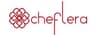 Cheflera